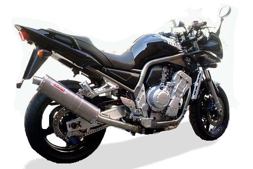 Exhaust compatible with Yamaha Fzs 1000 Fazer 2001-2005, Albus Ceramic, Homologated legal slip-on exhaust including removable db killer and link pipe 