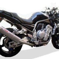 Exhaust compatible with Yamaha Fzs 1000 Fazer 2001-2005, Albus Ceramic, Homologated legal slip-on exhaust including removable db killer and link pipe 