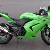 Scarico compatibile con Kawasaki Z250 2013-2016, Gpe Ann. titanium, Scarico omologato, silenziatore con db killer estraibile e raccordo specifico