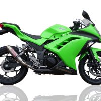 Scarico compatibile con Kawasaki Ninja 300 R 2012-2017, Deeptone Inox, Scarico omologato, silenziatore con db killer estraibile e raccordo specifico