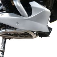 Exhaust compatible with Bmw R 1250 R -Rs 2021-2024, Decatalizzatore, Decat pipe 