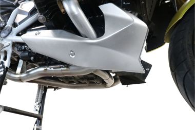 Exhaust compatible with Bmw R 1250 R -Rs 2019-2020, Decatalizzatore, Decat pipe 