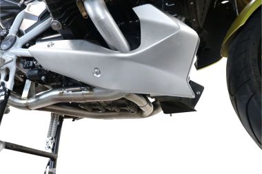 Scarico compatibile con Bmw R 1250 R - Rs 2019-2020, Decatalizzatore, Collettore decatalizzore, applicazione racing