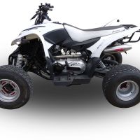 Scarico compatibile con Access SP250/ SP300 Speed 2005-2021, Deeptone Atv, Scarico completo omologato,fornito con db killer estraibile e collettore