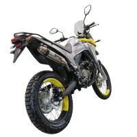 Scarico compatibile con Voge 300Rally 2022-2024, Deeptone Inox, Terminale di scarico omologato, fornito con db killer estraibile, catalizzatore e raccordo specifico