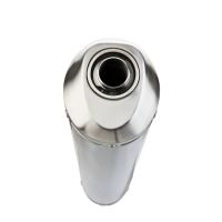 Scarico compatibile con Suzuki Sv 650 - S 1999-2002, Satinox , Terminale di scarico semi-completo, omologato, con db killer estraibile e raccordo specifico