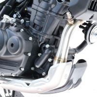 Exhaust compatible with Royal Enfield Himalayan 450 2024-2025, Decatalizzatore, Decat pipe 